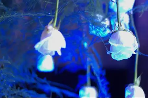 Rêve Ephémère — photo 7