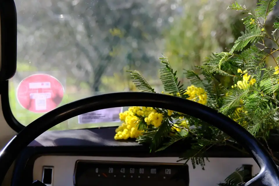 Le French Bus — photo 8