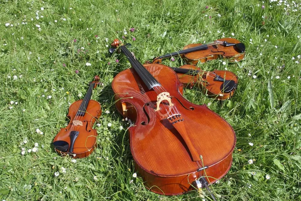 Quatuor Altaïs — photo 2