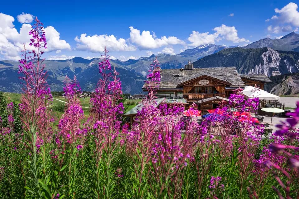 Le Pilatus — photo 8