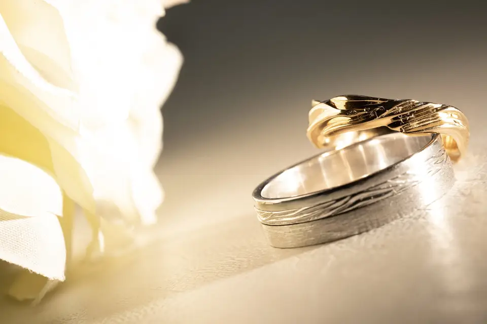 Vivet'Art — photo 6