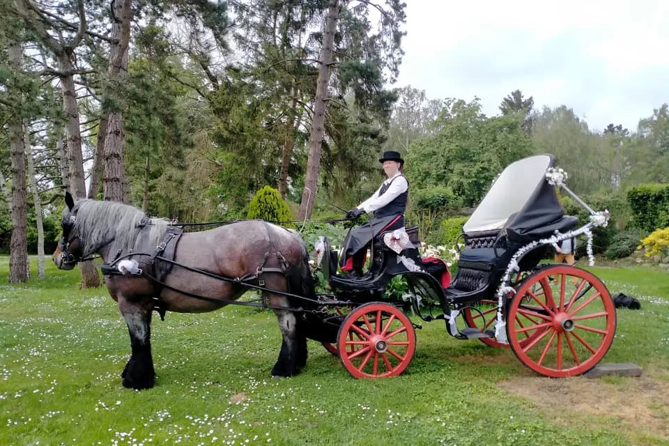 Calèches Traits d'évasion — photo 1