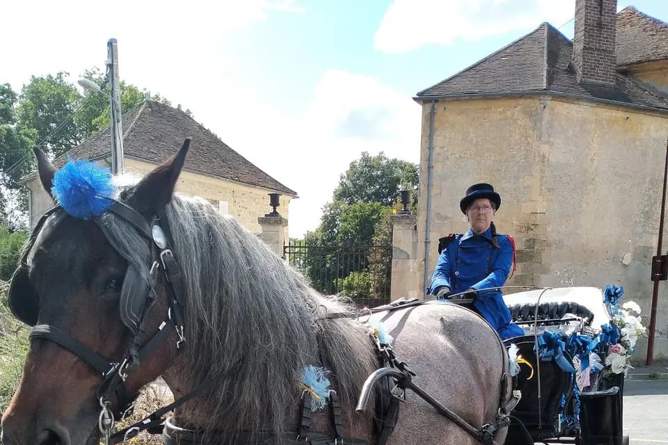 Calèches Traits d'évasion — photo 5