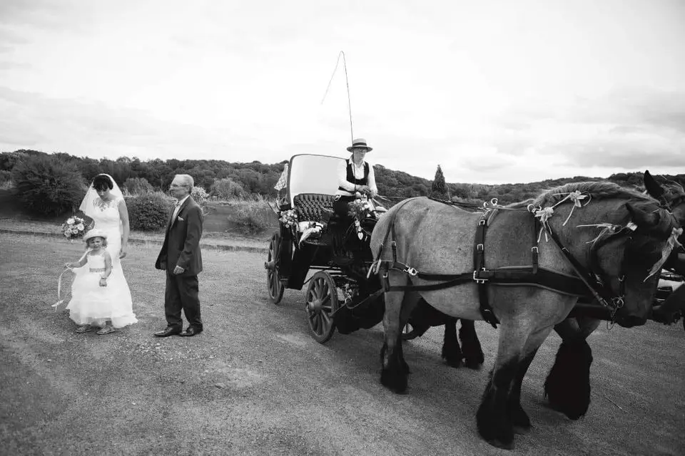 Calèches Traits d'évasion — photo 4