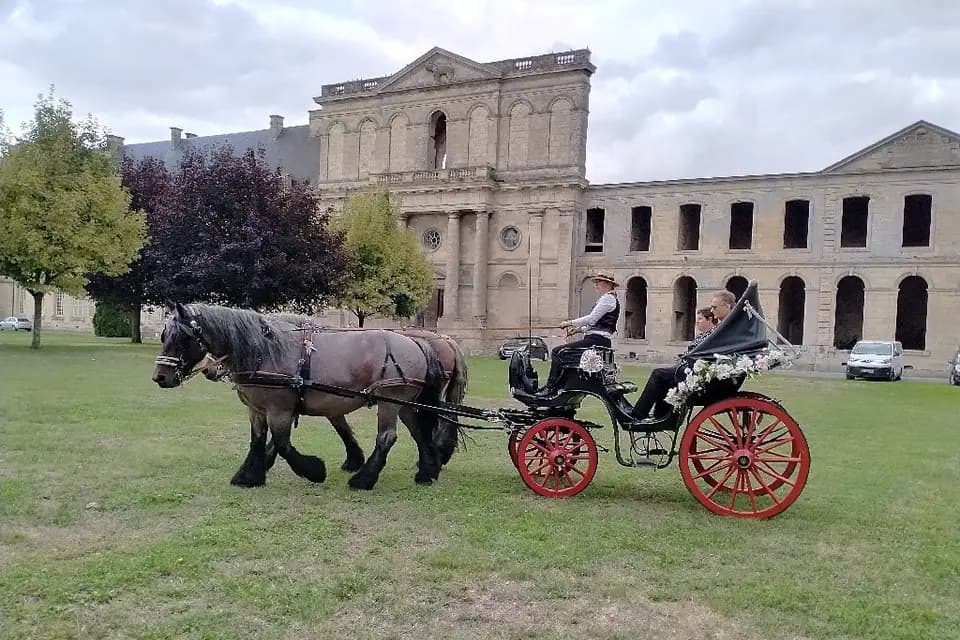 Calèches Traits d'évasion — photo 6