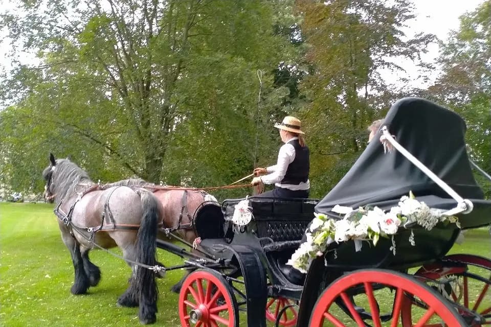 Calèches Traits d'évasion — photo 7