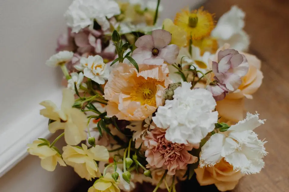 Les Renouées — photo 3