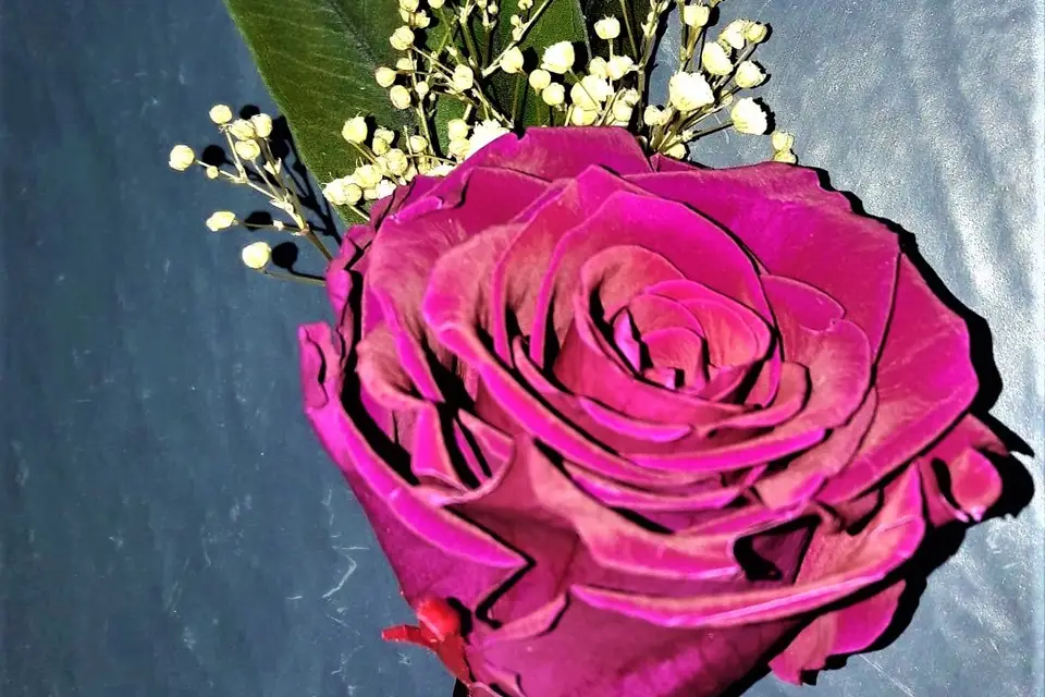 Les fleurs éternelles — photo 5