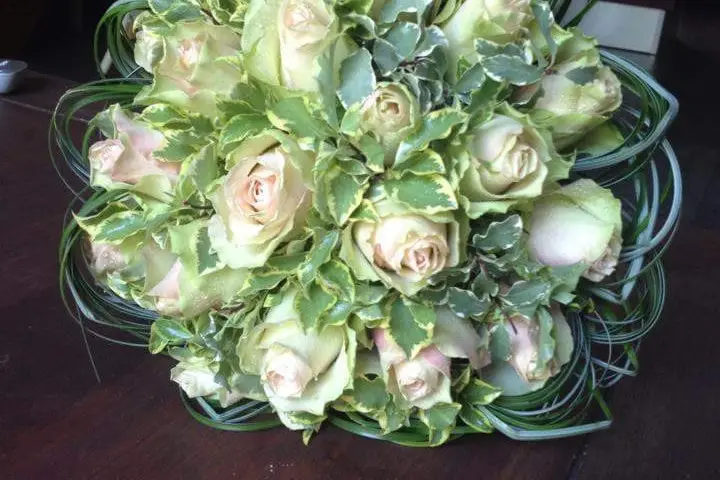 Les fleurs éternelles — photo 1