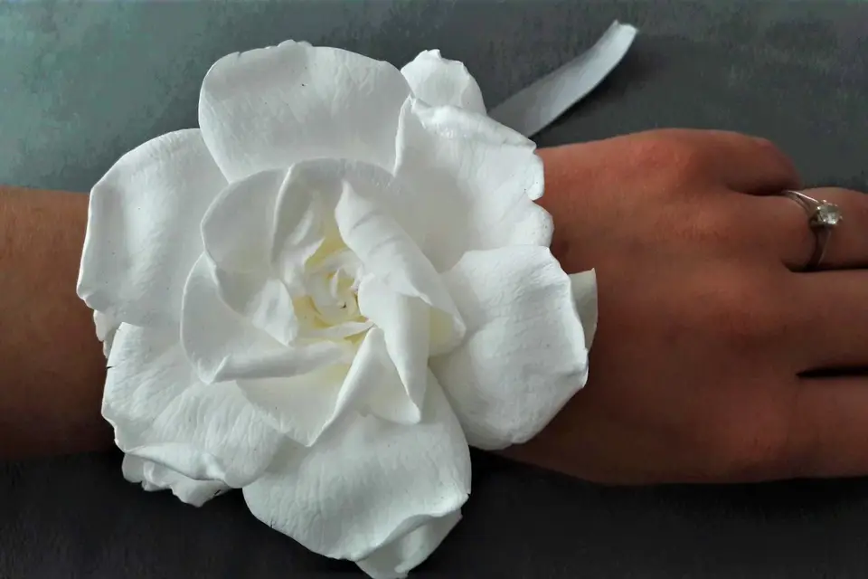 Les fleurs éternelles — photo 2