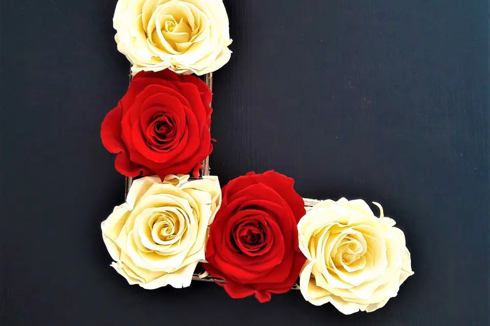 Les fleurs éternelles — photo 8