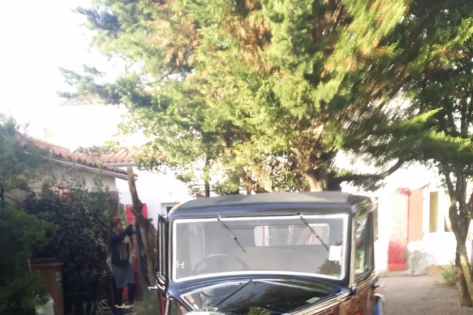 Guston Patrick — photo 7