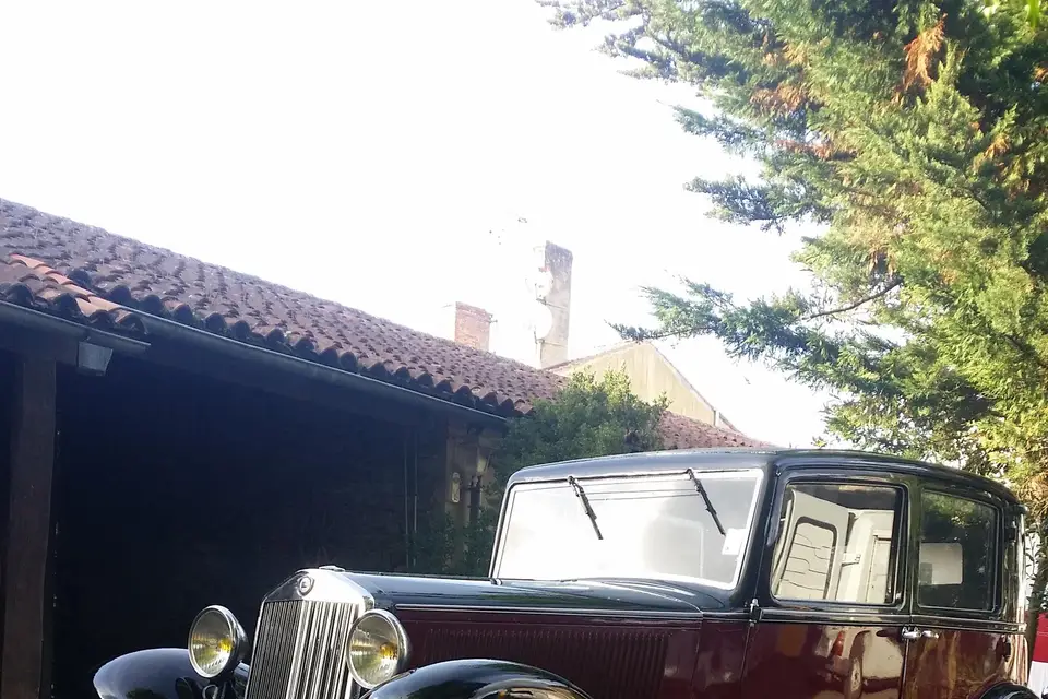 Guston Patrick — photo 2