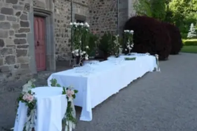 Passiflora — photo 5