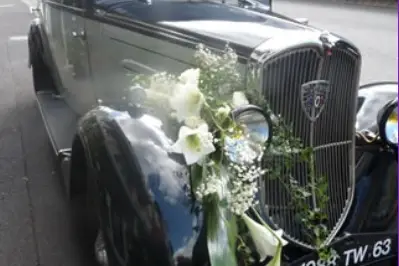 Passiflora — photo 2