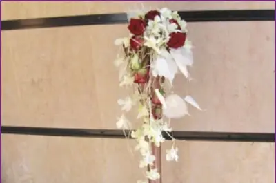 Passiflora — photo 6