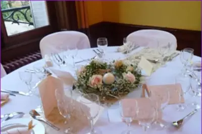 Passiflora — photo 8