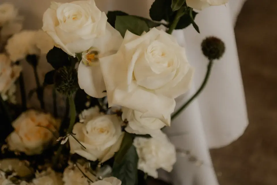 AIA Design — photo 1