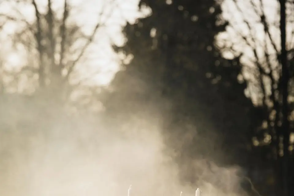 Propriété du Bénitier — photo 6