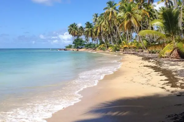 Le Monde Sur Mesure — photo 7