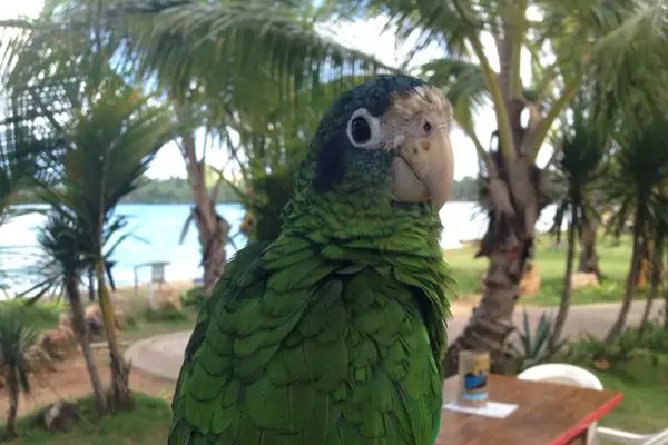 Le Monde Sur Mesure — photo 8