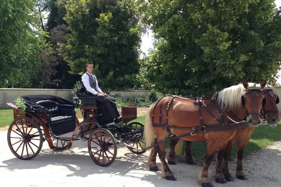 Les Attelages Du Val D'Amour