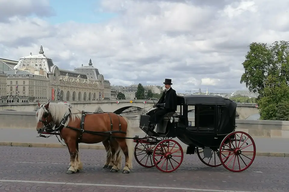 Les Attelages Du Val D'Amour — photo 2