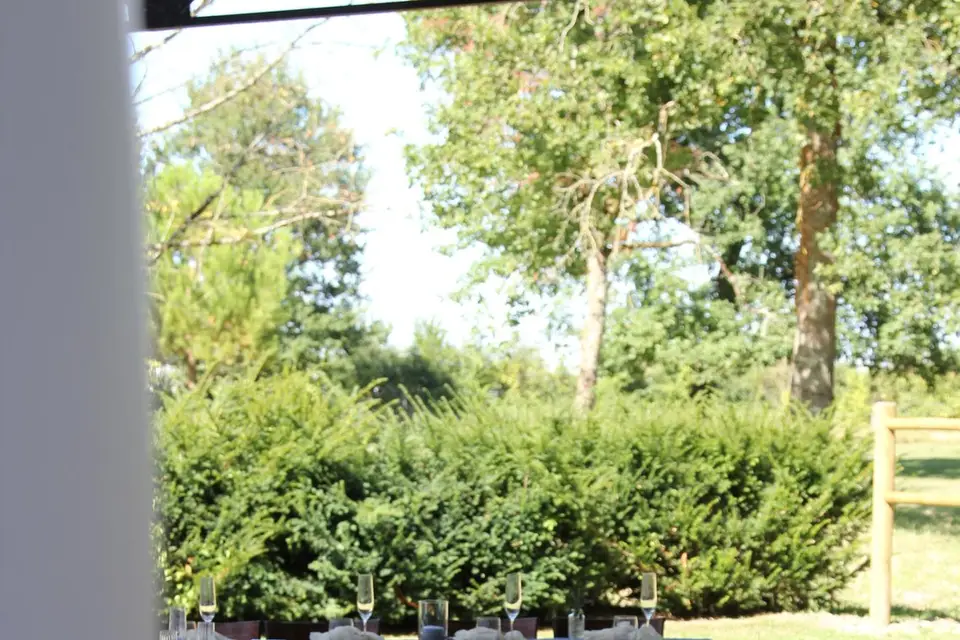 Agence AGGCOM — photo 2