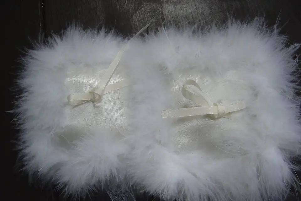 Les Coussins de Fatits