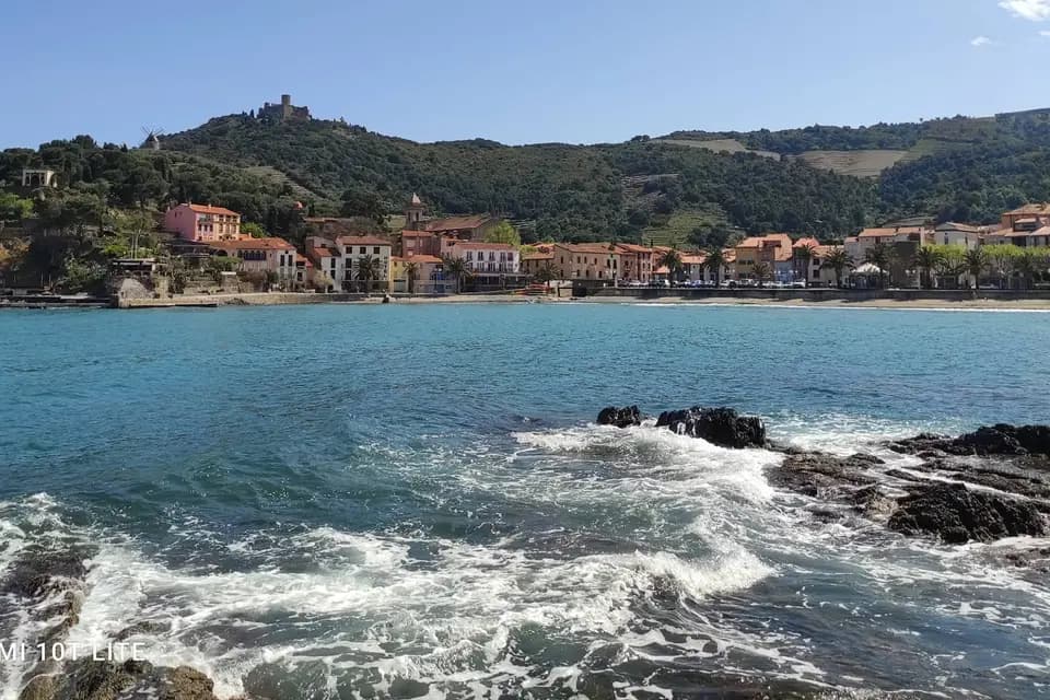 Alsavosges — photo 5