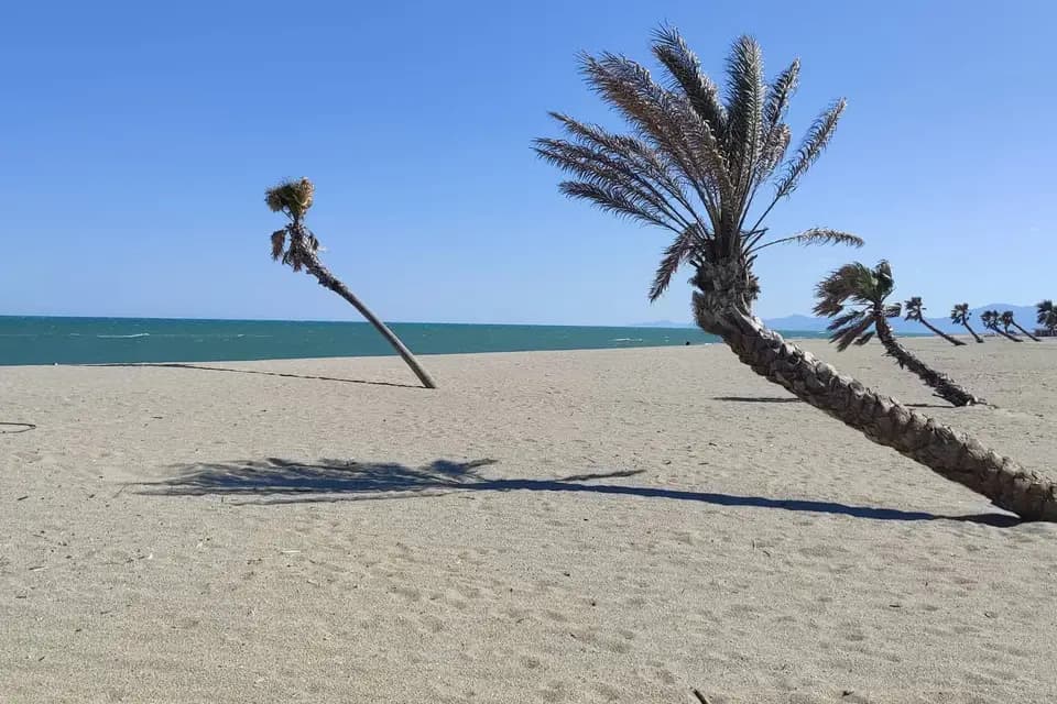 Alsavosges — photo 6