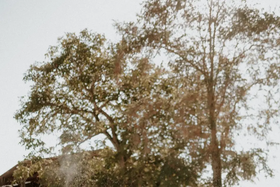 Fanny.P Photographie — photo 2