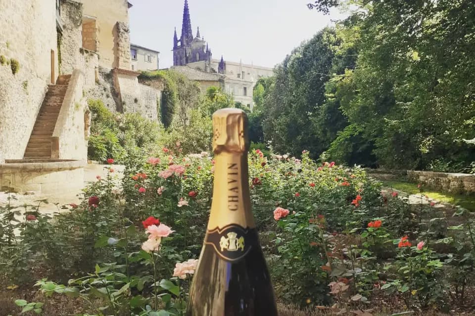 La cave 0% — photo 3