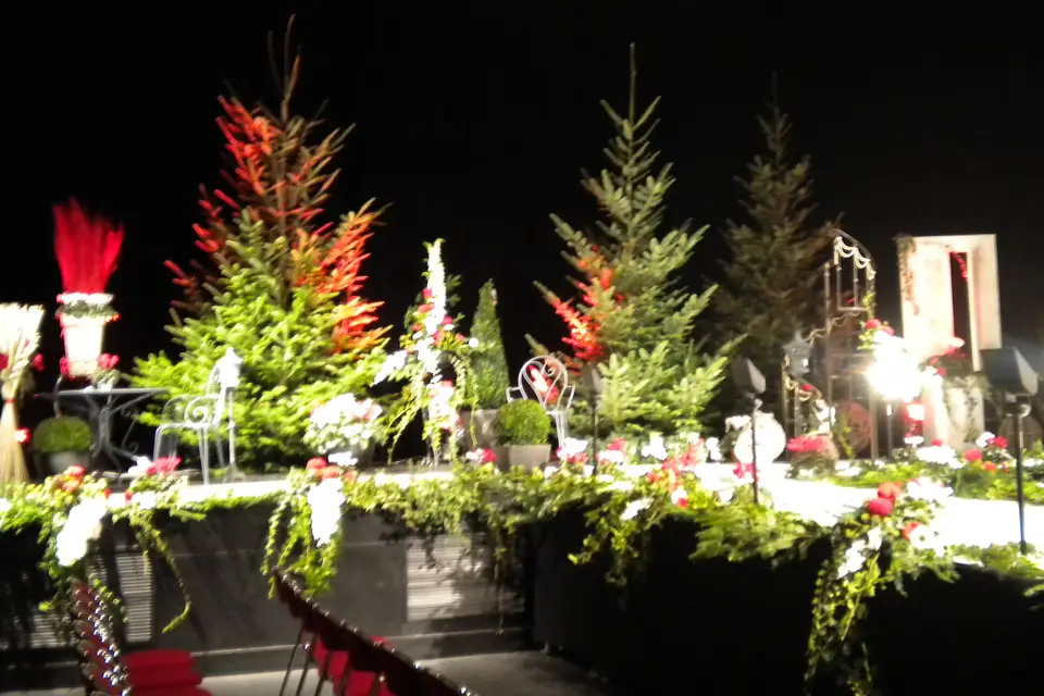 Eyraud Fleurs — photo 3