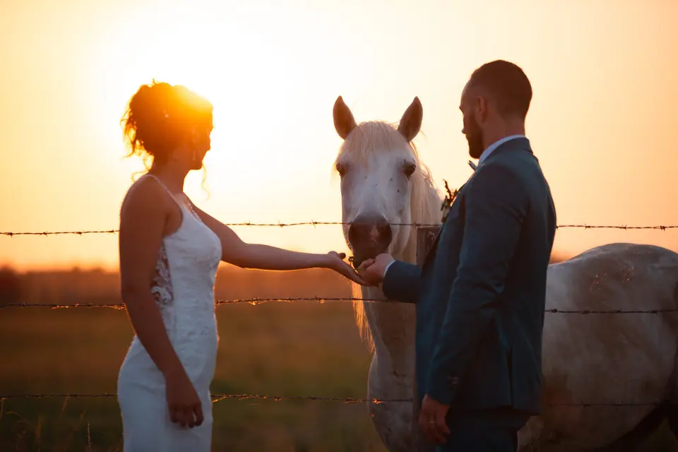 Mas de Cerier — photo 3