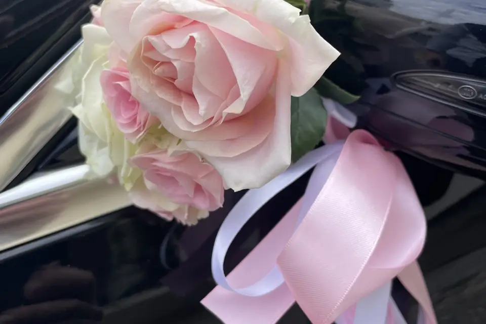 M.H. Cab — photo 3