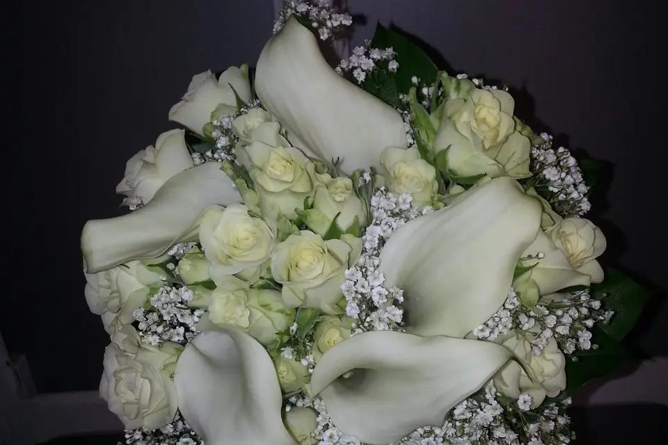 Brin de Folie — photo 2