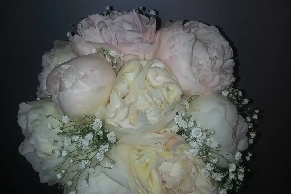 Brin de Folie — photo 3