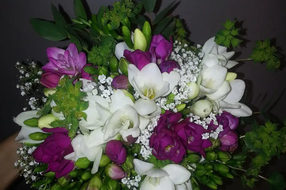 Brin de Folie — photo 8