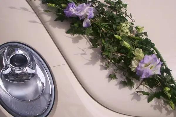 Brin de Folie — photo 6