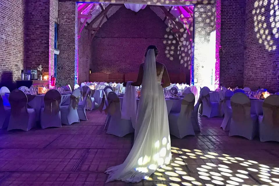 Delight Event's — photo 8