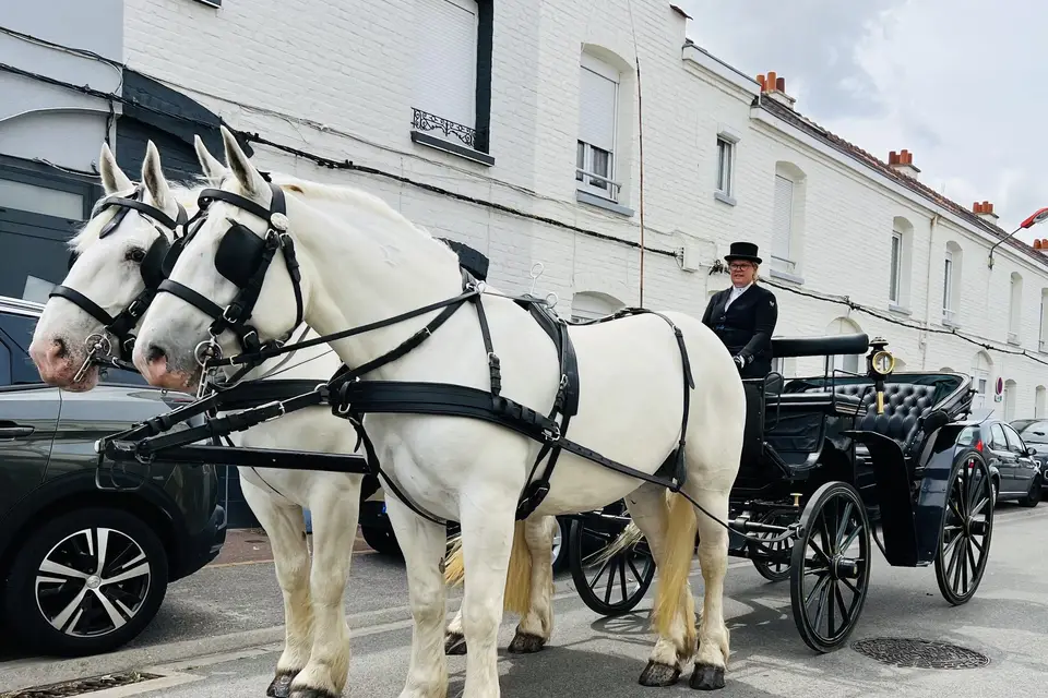 Les Calèches d'Amandine — photo 1