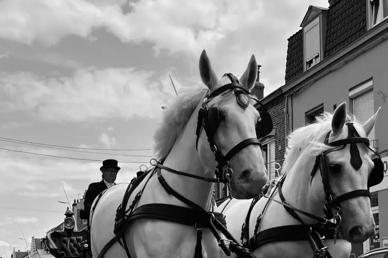 Les Calèches d'Amandine — photo 2