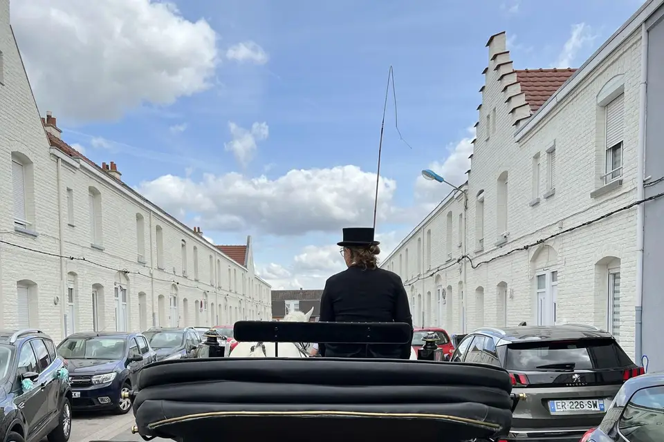 Les Calèches d'Amandine — photo 5