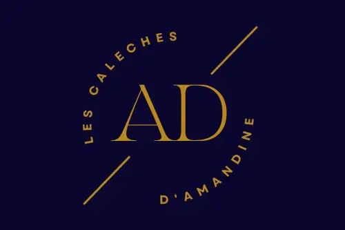 Les Calèches d'Amandine — photo 8