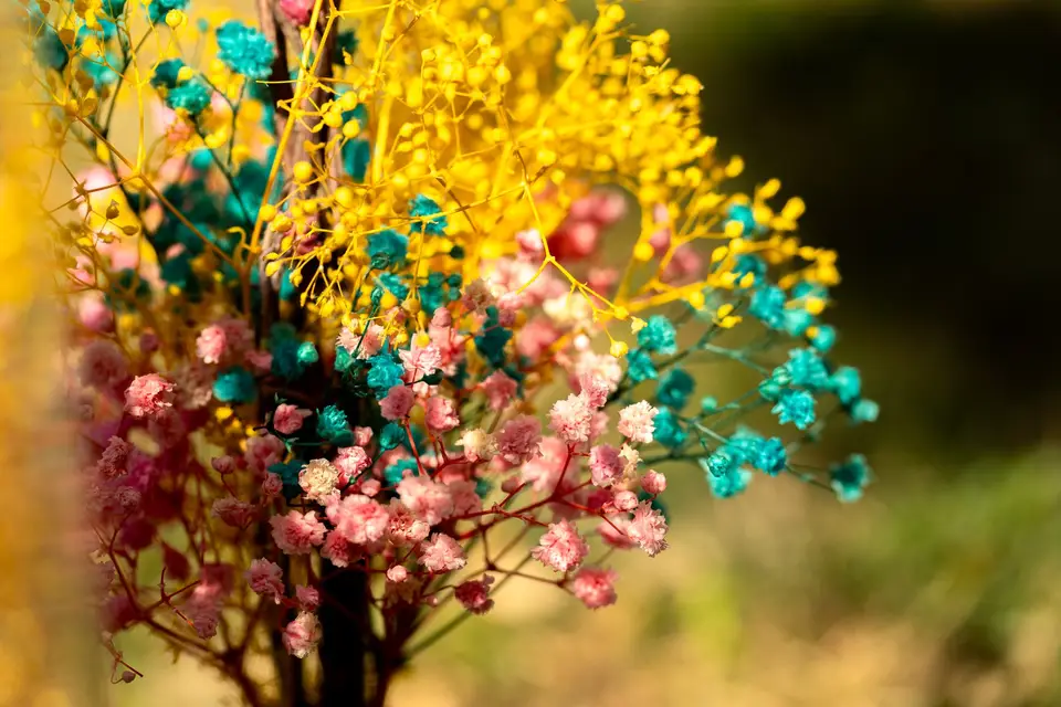 L'Atelier Photo de Charlotte — photo 3