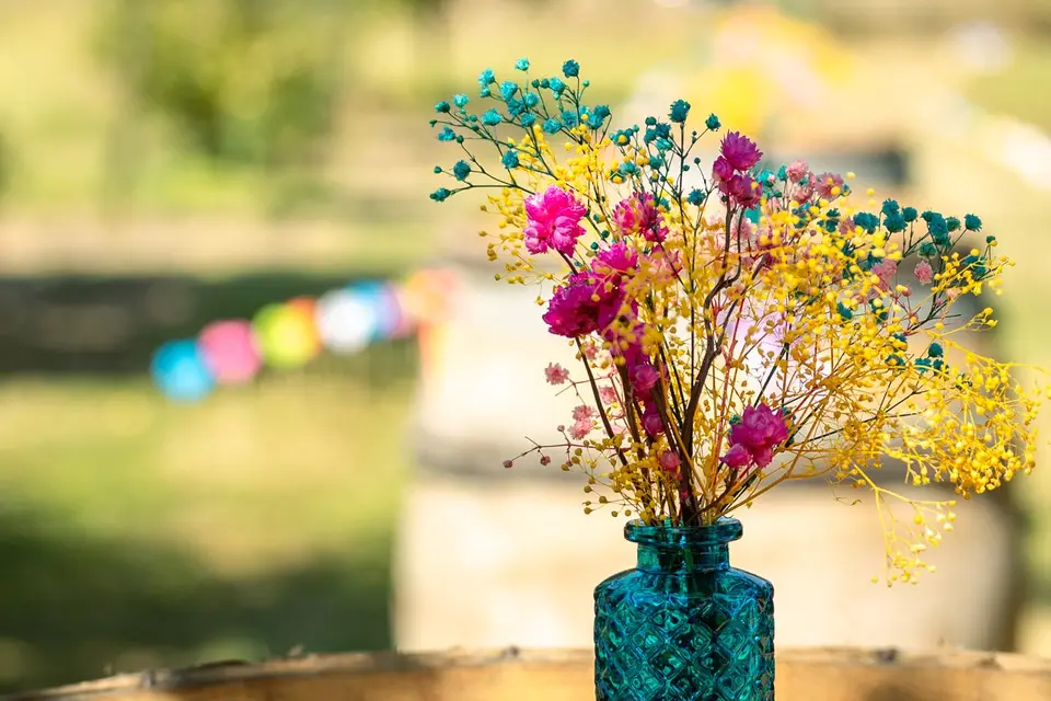 L'Atelier Photo de Charlotte — photo 5