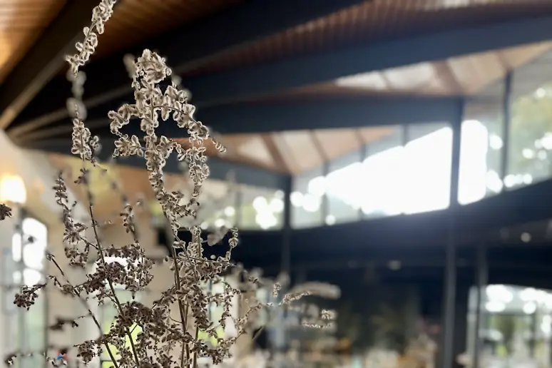 Domaine du Keréden — photo 3