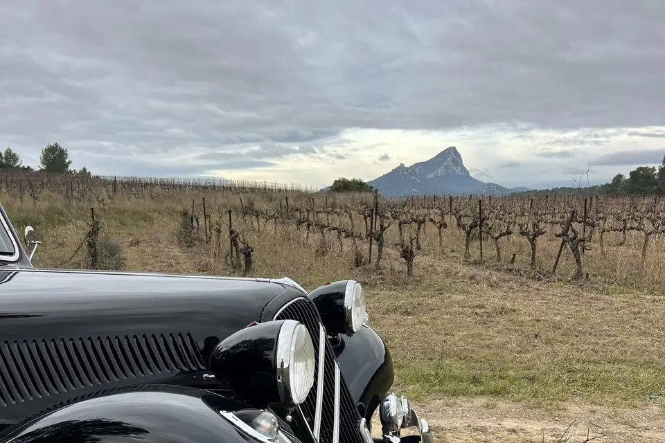 Emotions Traction — photo 4