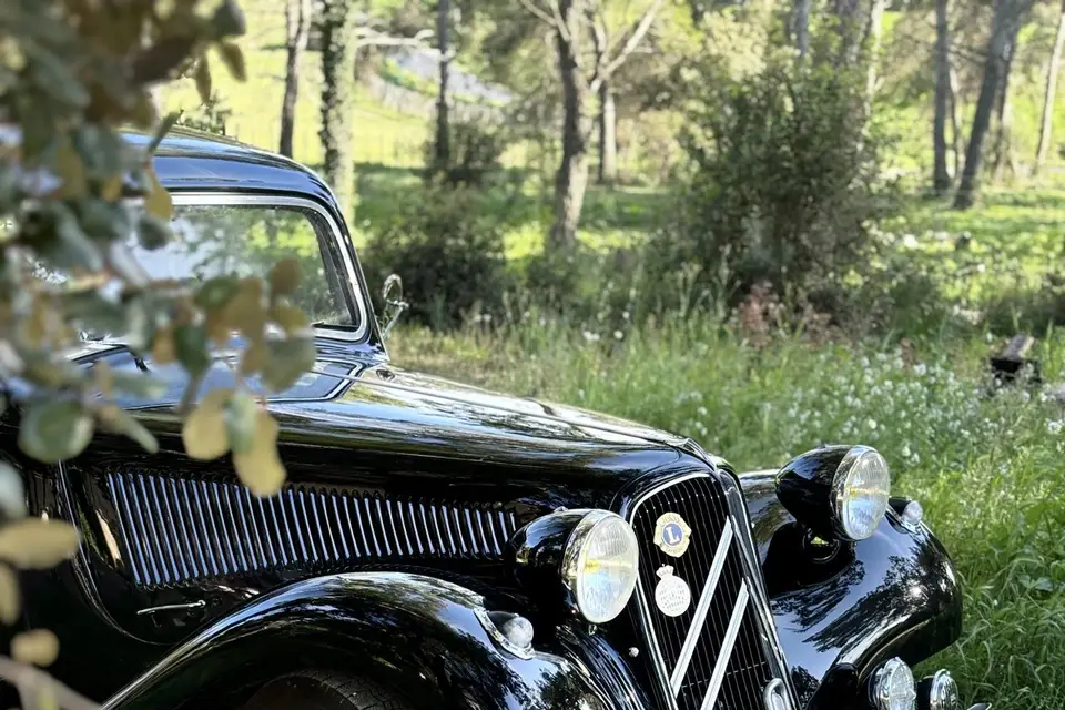 Emotions Traction — photo 5